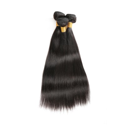 Wholesale Straight Malaysian Hair South East Asian Best Virgin Hair Vendors